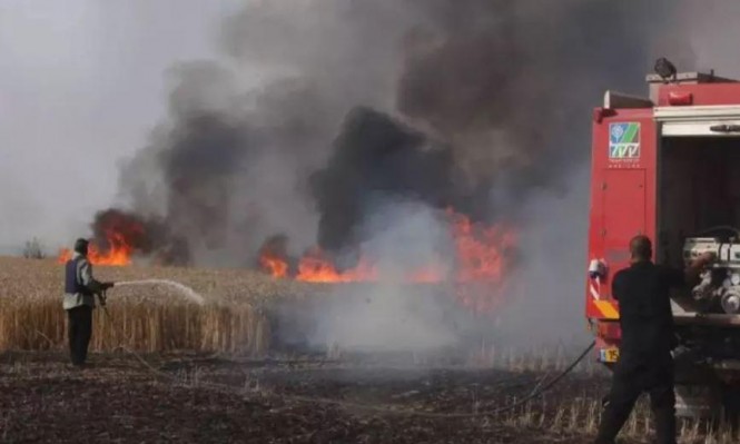 طائرة ورقية حارقة أطلقت من غزة تشعل النيران بأحراش جنوبي 