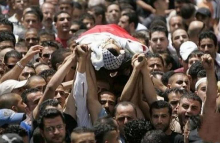 إحصائية جديدة: 155