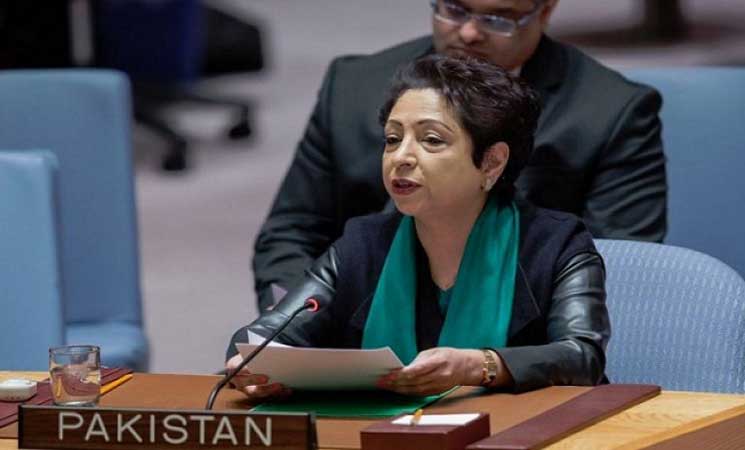 باكستان: قيام دولة فلسطين شرط أساسي لتحقيق السلام والأمن على مستوى العالم