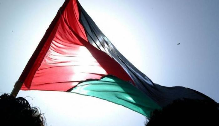 سلوفينيا تقرر الاستمرار في إجراءات الاعتراف بفلسطين دولة مستقلة
