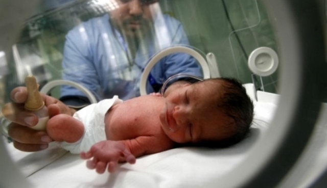 
غزة: مولود كل عشر دقائق خلال نوفمبر الماضي