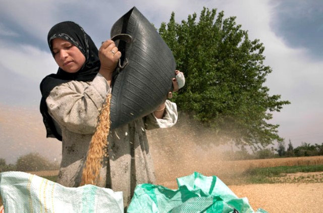 بنك الأردن يدعم مشروع مؤسسة التعاون لتمكين المرأة في الزراعة