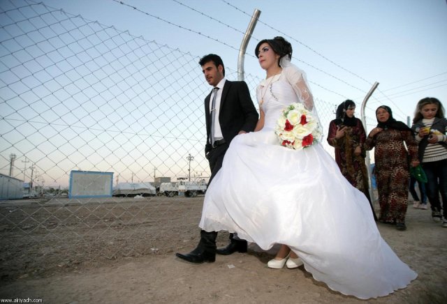 4213 أردنية تزوجن من سوريين