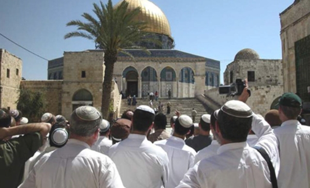 1326 إسرائيليا اقتحموا المسجد الأقصى خلال شهر أغسطس