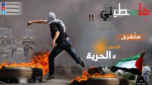 بالفيديو: نحن في غزة