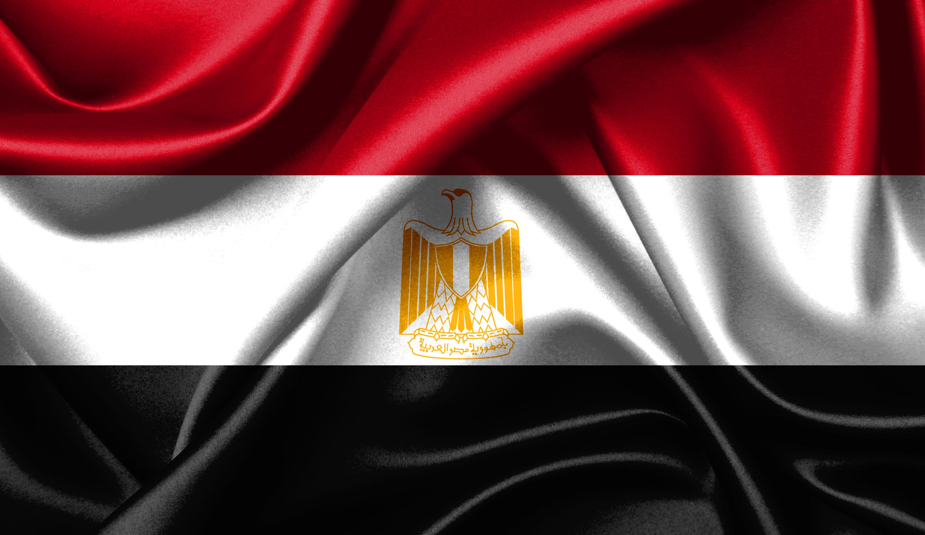 نص المبادرة المصرية