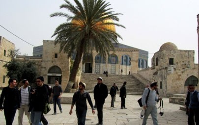 مجموعة من المستوطنين