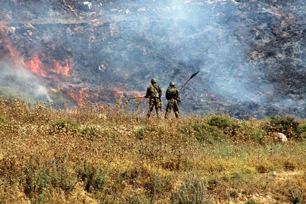 مستوطنون يحرقون 100 شجرة زيتون قرب نابلس