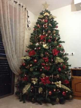 عيد الميلاد المجيد.. شجرة ميلاد وآمال تزينها الابتسامة