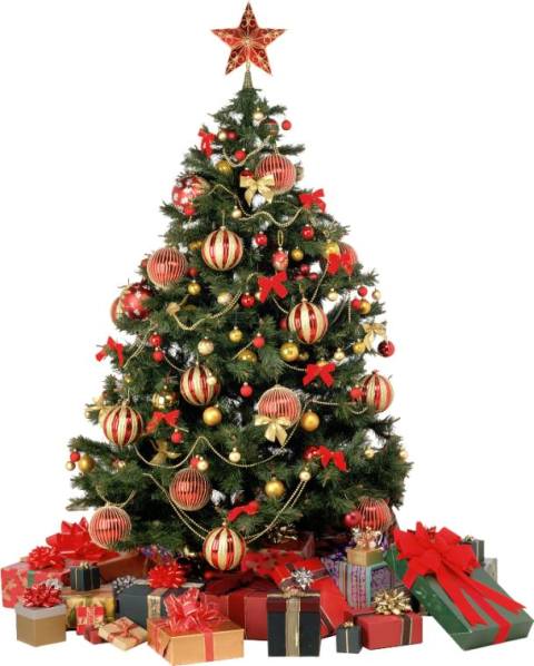 ما رمزيّة شجرة الميلاد