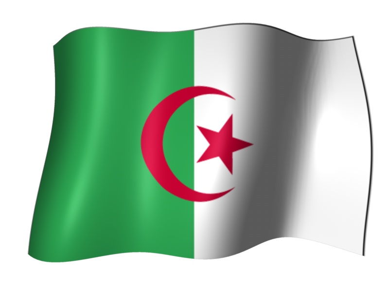 13 مليار دولار موازنة الدفاع في الجزائر للعام 2015
