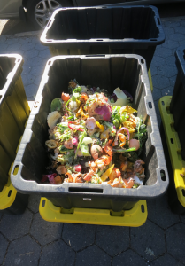 سياتل تفرض غرامة على إلقاء مخلفات الطعام في القمامة
