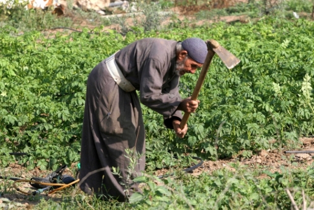 للمزارعين: اتبعوا