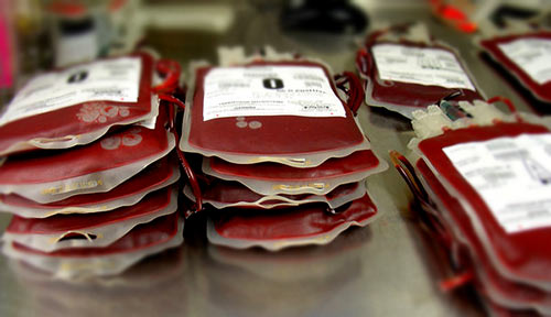 'الصحة' ترسل 3 آلاف وحدة دم لقطاع غزة