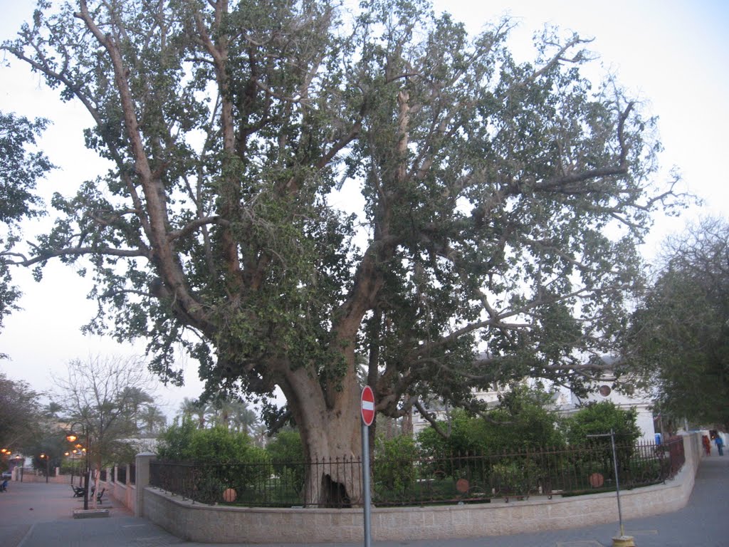 تدخل روسي لإنقاذ