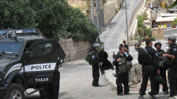  شرطة الاحتلال تعتقل 31 شخصا من داخل أراضي الـ48