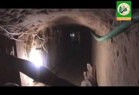 العثور على 23 مقاتلا