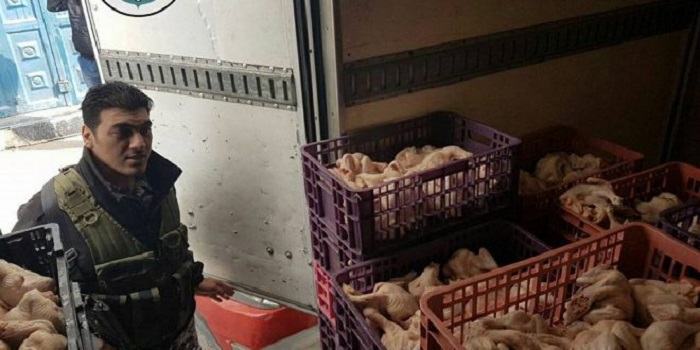 ضبط 660 كغم دجاج مجهول