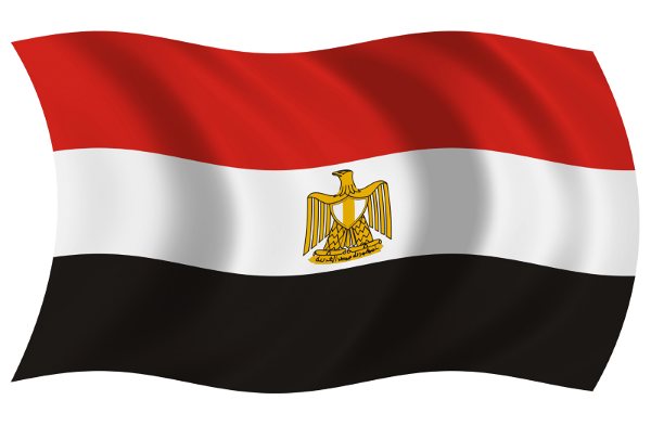 مصر تضع ضوابط انتخابات