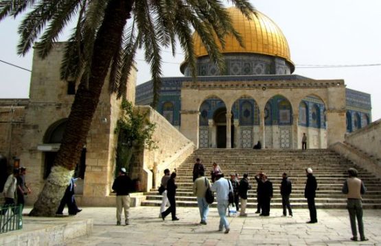 القدس: الاحتلال يعتقل مواطنة ومستوطنون يقتحمون الأقصى