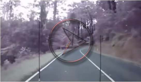 بالفيديو سائق ينجو من سقوط 7 أشجار على طريق سريع 

