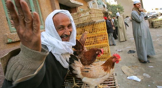 تاسع حالة وفاة بإنفلونزا