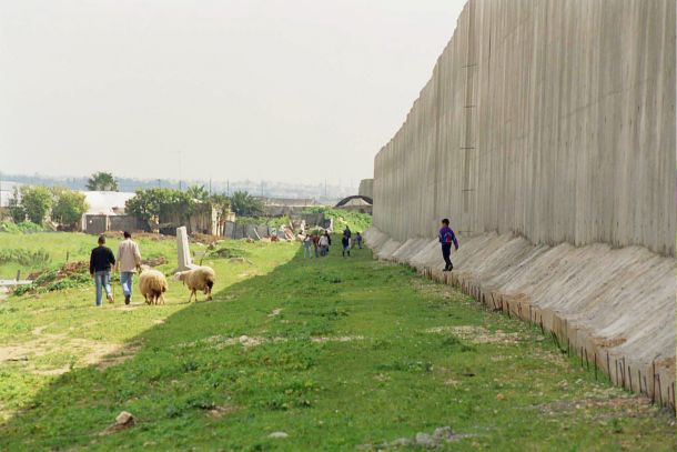 'الادارة المدنية' تسرب 2400 دونم من اراضي قلقيلية للمستوطنين