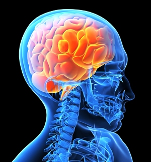 شركة سيتريكس تنتج عقارا واعدا لعلاج أورام المخ
