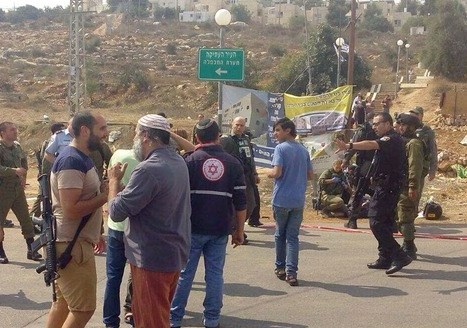 فيديو- مستوطن يضع