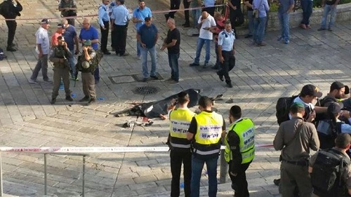 تطهير عرقي..الاحتلال