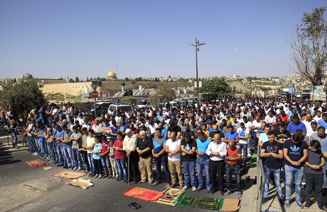 5 آلاف شخصٍ فقط تمكنوا