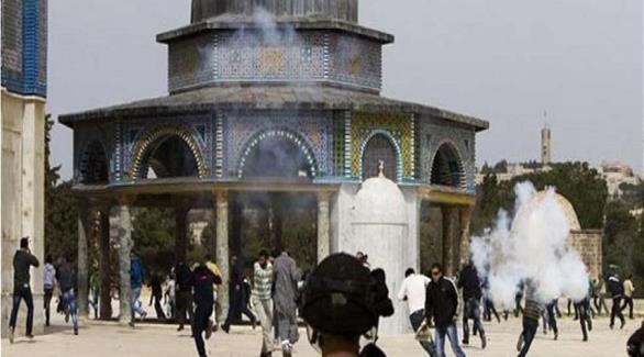 اقتراح فرنسي بوضع