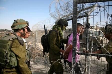 الاحتلال يعتقل 7 فلسطينيين