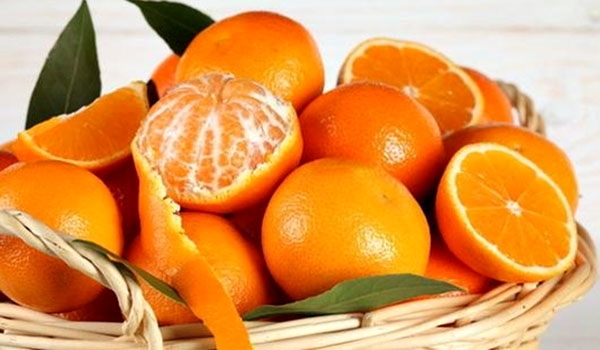 البرتقال واليوسفي أفضل فاكهة لمتبعي الريجيم 