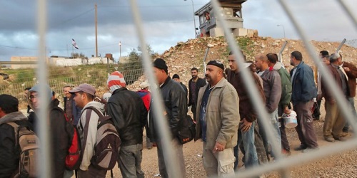 في العدد 50| العمال