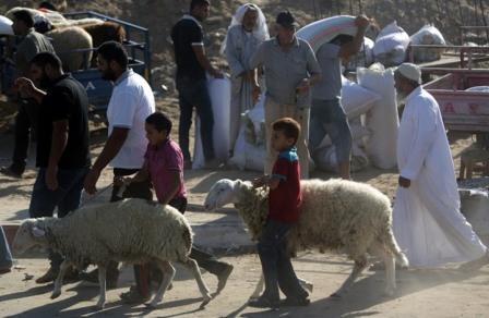 خاروف ينهي حياة مربيته في قرية سعودية
