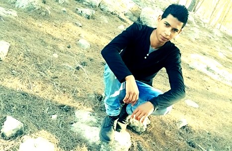 بالفيديو..آخر منشورات