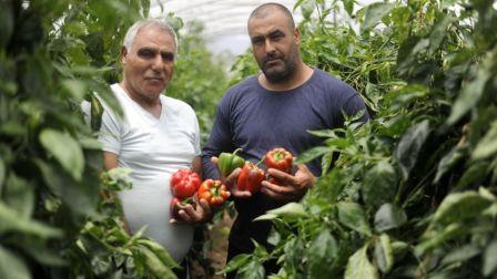 المزارعون الإسرائيليون يخشون قرار الاتحاد الأوروبي الجديد بترميز بضائع المستوطنات
