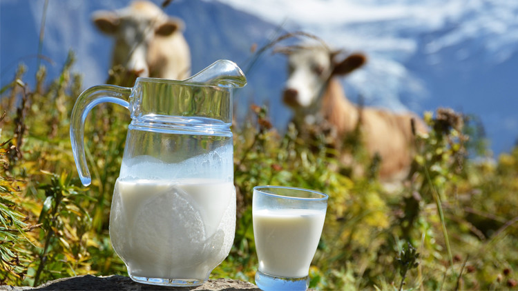 علماء: الحليب قد يسبب مرض باركنسون