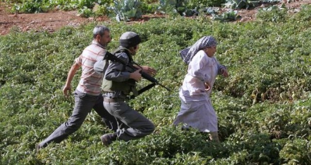 مستوطنو 'ميتاريم'