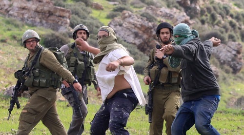 فلسطين تعرض تحديات