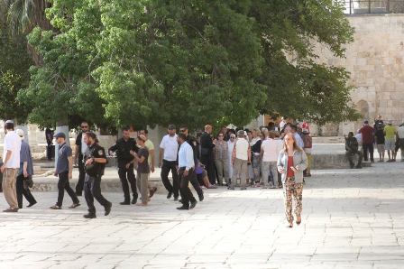 الاحتلال يعتقل مبعدا عن الأقصى والمستوطنون يجددون اقتحاماتهم