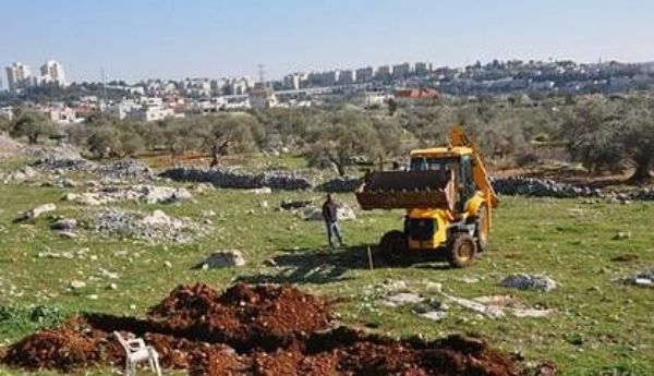 الاحتلال يجرف عشرات الدونمات الزراعية جنوب بيت لحم