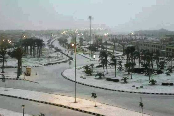 العاصفة الثلجية 