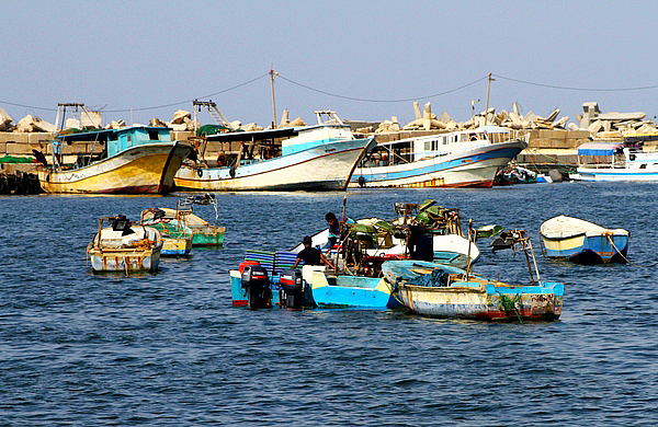  في غزة.. أبناء لا يعيشون في جلباب آبائهم
