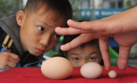 أصغر بيضة دجاجة في العالم