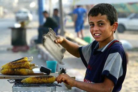 أرقام مخيفه لعمالة الأطفال في فلسطين 