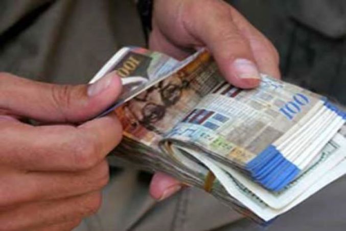 8.1 ٪ ارتفاعاً في إجمالي