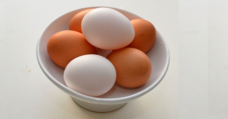 هل تسأل نفسك ماهو الفرق بين البيض الأبيض والأحمر!
