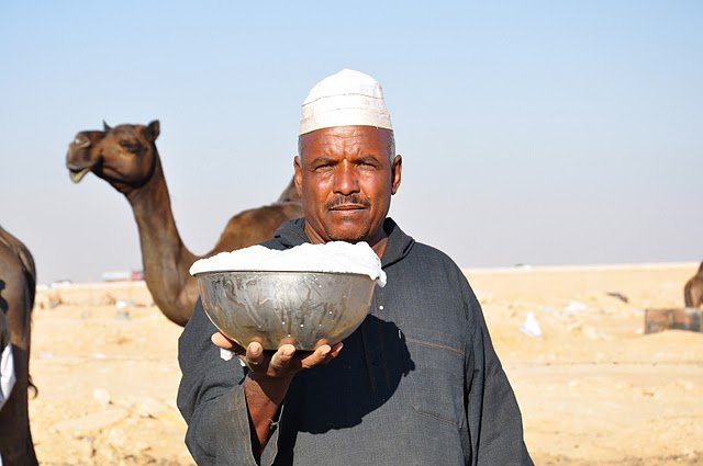لحليب الإبل فوائد